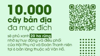 Lá phiếu cộng đồng cho dự án phục hồi rừng