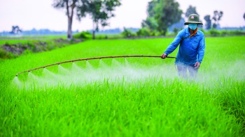 Quá nhiều hóa chất trong nông nghiệp