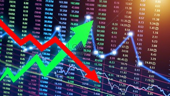 Nữ võ sĩ tìm đường xuất ngoại