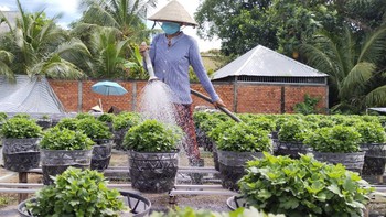​Bà cụ và những mùa Noel