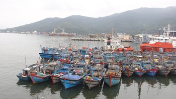 ​Khi tin tức là thứ yếu