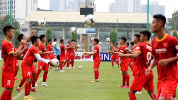 Hoa Đà Lạt trên... núi Cấm 