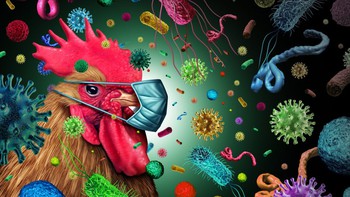 Chỉnh sửa gene vật nuôi, thịt này nuốt có xuôi?
