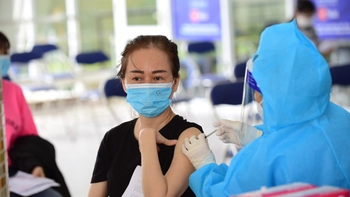 Dựng lại rừng để cứu trái đất?
