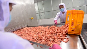 Món nợ một thế kỷ