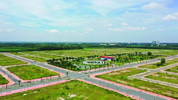 Những vần thơ xuân đẹp đẽ