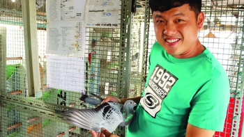 Những cuộc đua trên bầu trời xanh