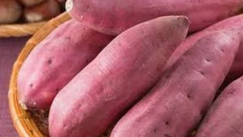 “Lời đường mật” cho thực phẩm "gluten free"