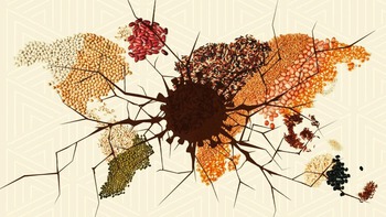 Không lẽ thế giới sắp thiếu ăn?