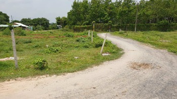 Quy hoạch và thông tin “vịt”