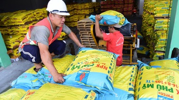 Giá phân bón tăng và gánh nặng đối với nông dân