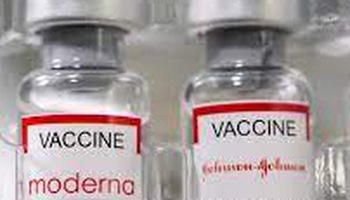 Mũi vaccine số 4: nên, không nên "lụi"?