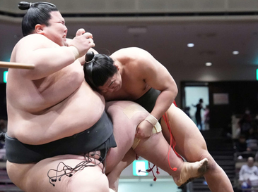 Võ sĩ sumo 93kg quật ngã 'gã khổng lồ' 252kg chỉ sau vài giây