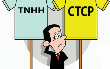 Chọn chiếc áo pháp lý cho startup: Quyết định nền móng ảnh hưởng cả hành trình