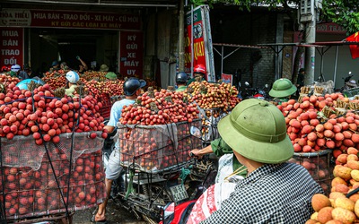 Đan Mạch giúp Việt Nam không mất hàng tỉ USD vì thất thoát, lãng phí nông sản