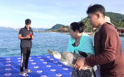 Dân làng chài Phú Quốc đồng lòng cứu hộ vích biển