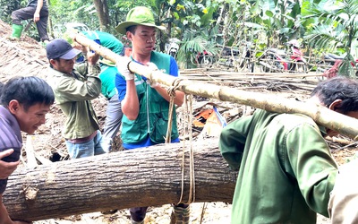 Thanh niên tình nguyện TP.HCM giúp người dân Lào Cai, Tuyên Quang khắc phục hậu quả bão lũ