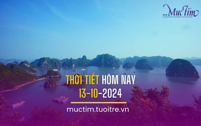 Thời tiết hôm nay 13-10: Nam Bộ và Tây Nguyên mưa to