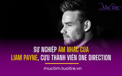 Sự nghiệp âm nhạc của Liam Payne, cựu thành viên One Direction