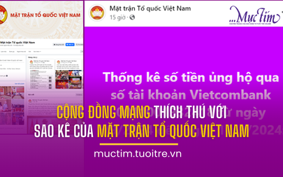 Cộng đồng mạng thích thú với sao kê của Mặt trận Tổ quốc Việt Nam