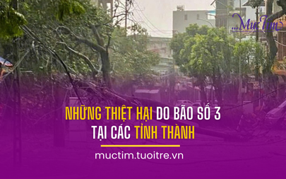 Những thiệt hại do bão số 3 (bão Yagi) tại các tỉnh thành