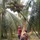 Màn hái dừa đỉnh cao mà không phải trèo cây