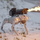 'Hot dog chính hiệu' - Robot chó phun lửa đầu tiên trên thế giới!