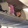 Ngủ trong ngăn chứa hành lý trên máy bay