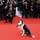 Chú chó Messi gây sốt khi làm ngôi sao mở màn LHP Cannes 2024