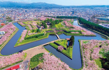 Tuyệt sắc hoa anh đào giữa đất trời Hokkaido Nhật Bản