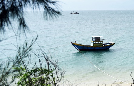 Đến Cù Lao Câu lặn ngắm san hô, ngắm vương quốc đá
