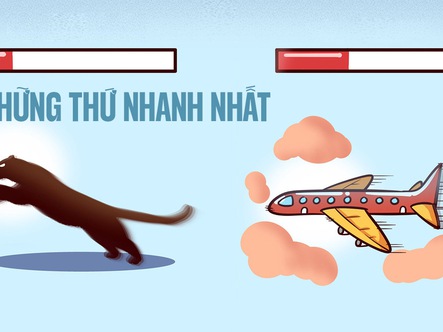 Những thứ nhanh nhất trái đất có thể khiến bạn sốc