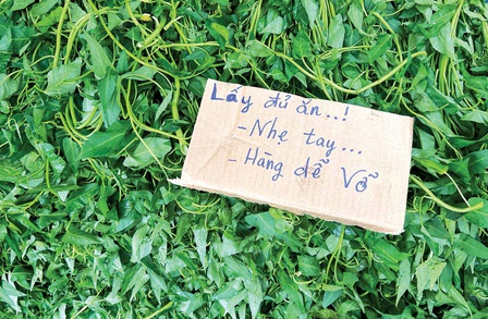 Phóng sinh sự: Những tấm bảng... vui vẻ