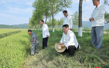 [Image: kim-jong-un-thi-sat-nong-nghiep-16923448...322770.jpg]