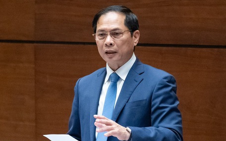 Bộ trưởng Bùi Thanh Sơn: Phải chặt đứt đường dây lừa 'việc nhẹ lương cao'