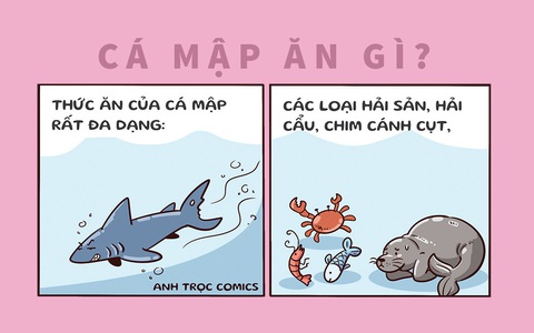 Tin Tức, Sự Kiện Liên Quan Đến Dut Cap - Tuổi Trẻ Online