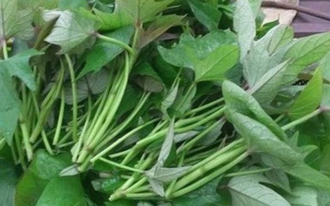 Mẹ sau sinh ăn rau lang được không?