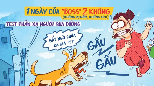 Chó thả rông: Một ngày của boss 'hai không'