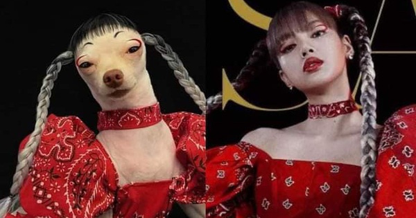 Cô chó cosplay loạt sao nổi tiếng - Tuổi Trẻ Online