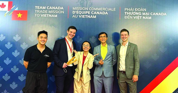 Những người trẻ với ‘kinh nghiệm đầy mình’