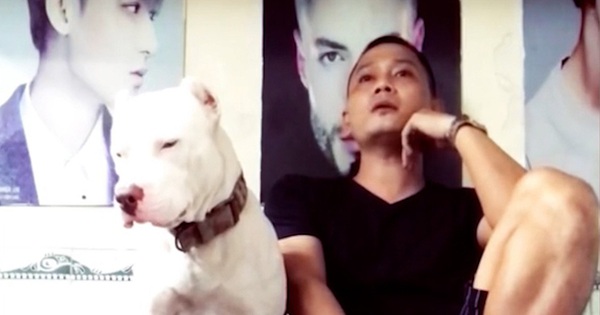 Chú chó ngồi ngáp ngủ khi nghe sen hát