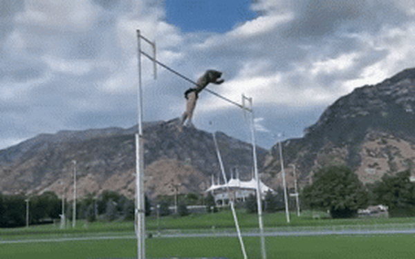 Bị cây đâm vào tinh hoàn khi nhảy sào, chàng trai đăng TikTok thu hút 20 triệu lượt xem