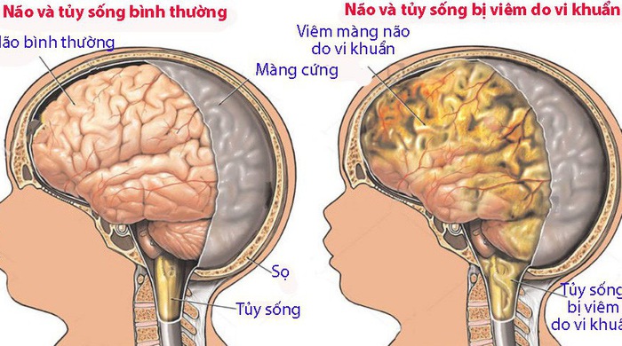 6. Nghiên Cứu và Tài Liệu Tham Khảo