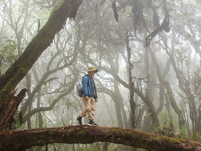 Kinh nghiệm du lịch Tà Xùa cho người thích khám phá Kinh nghiệm du lịch Tà Xùa cho người thích khám phá