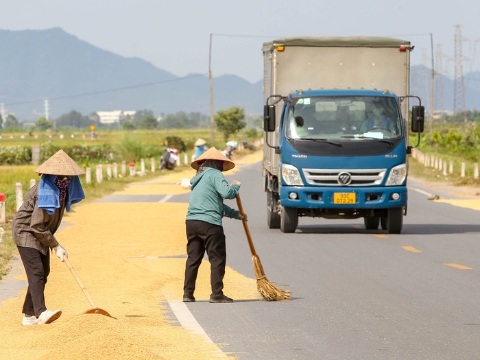 Người dân phơi thóc trên quốc lộ vì 'không còn chỗ nào phơi' - Tuổi Trẻ Online