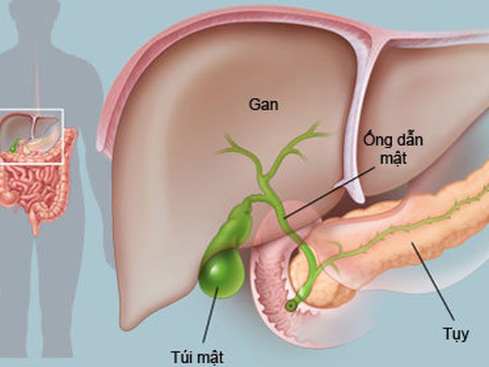 Đắng miệng cả ngày: Nguyên nhân và Cách khắc phục hiệu quả