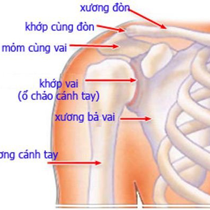 Dấu hiệu nhận biết gãy xương đòn