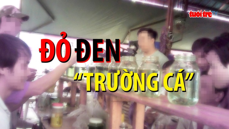 Đón xem phóng sự điều tra: Đỏ đen “trường cá”