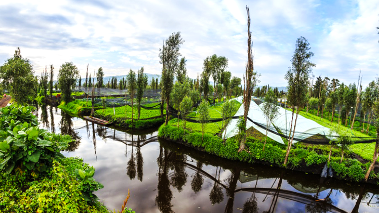 Chinampa, loại hình nông nghiệp kiểu mới ở Mexico