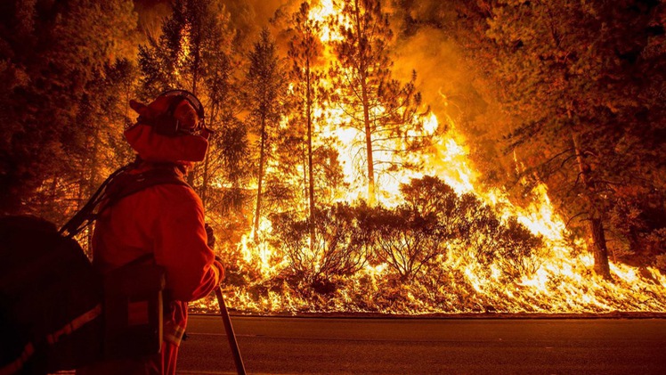 50 người thiệt mạng trong vụ cháy rừng thảm khốc nhất lịch sử California
